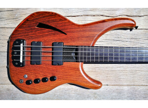 Status Electro 4 Fretless  15