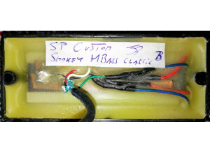 Status Electro 4 Fretless  19