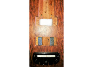 Status Electro 4 Fretless  20