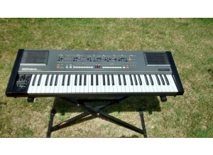 Roland HS-60 (12933)
