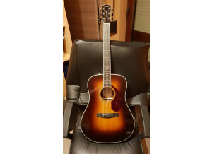 Fender PM-1 Deluxe Dreadnought (23046)