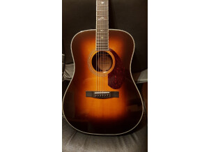 Fender PM-1 Deluxe Dreadnought (45938)