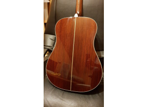 Fender PM-1 Deluxe Dreadnought (18358)