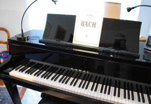Kawai Novus NV10