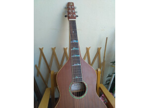 Luna Guitars Weissenborn Style Solid (93982)