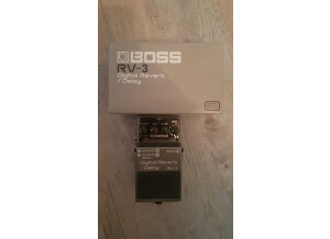 Boss RV-3 Digital Reverb/Delay (75113)