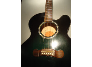 Gibson EC-10 STANDARD (58566)