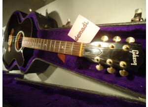 Gibson EC-10 STANDARD (76116)