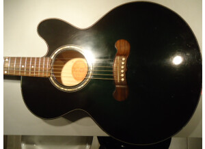 Gibson EC-10 STANDARD (95282)