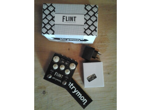 Flint 01