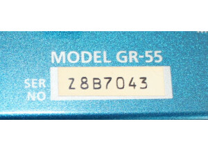 Roland GR-55GK (21791)