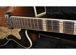 Hofner Guitars 457