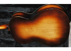 Fender Hank Marvin Signature Stratocaster (95938)