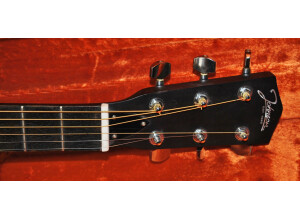 Johnson Guitars MG-10