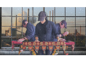 Modal Electronics Skulpt (32246)