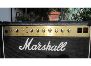 Marshall JCM 800 50W - 4010