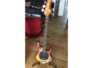 Sterling by Music Man Ray34 (80749)