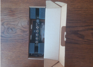 Erica Synths Pico Trigger (67328)