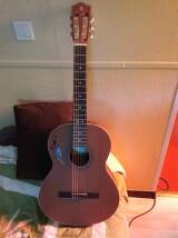 Alhambra Guitars Z-Nature
