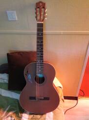 Alhambra Guitars Z-Nature