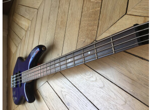 Ibanez SR300EL