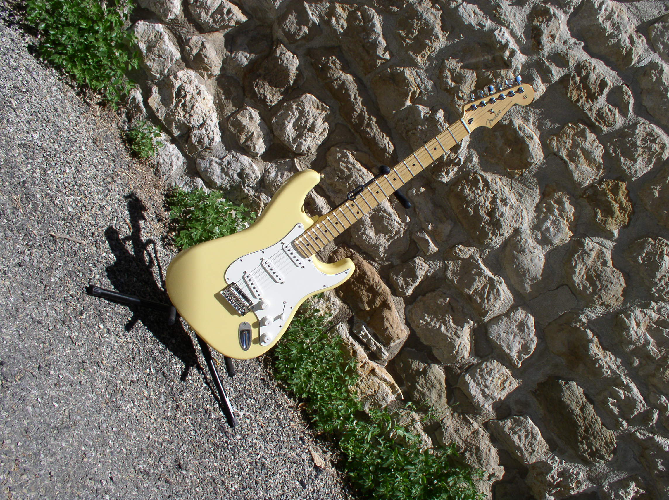 Fender Player Stratocaster