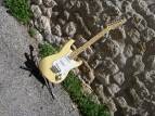 Fender Player Stratocaster