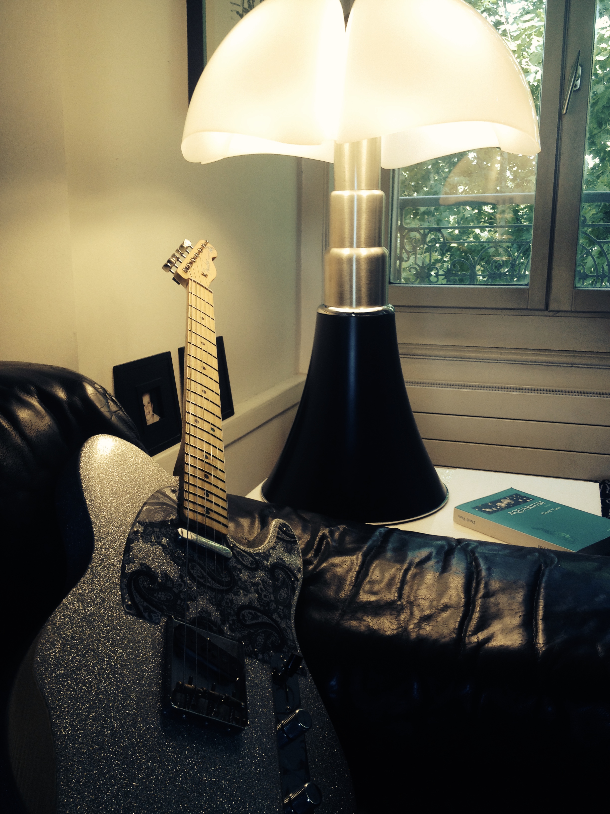 Fender Brad Paisley Road Worn Telecaster