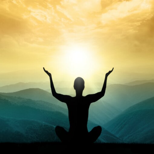 81+8pLuHPuL 81+8pLuHPuL