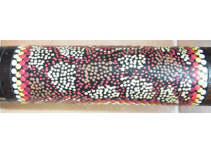 Gewa Bâton de pluie en Cactus (258)