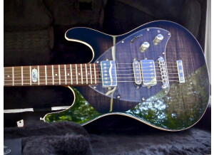 Music Man Steve Morse SM-Y2D (6451)