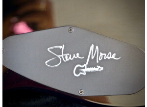 Music Man Steve Morse SM-Y2D (63602)