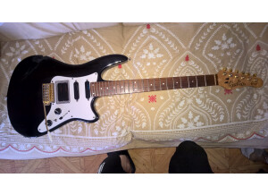 Godin G-1000 (12221)