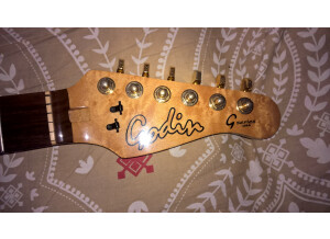 Godin G-1000 (91107)