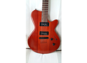 Godin LG Hmb (14932)