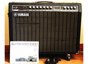 Yamaha G100B-212 (2761)