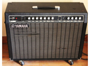 Yamaha G100B-212 (35410)