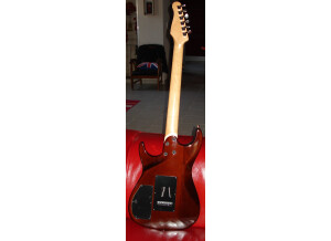 Godin Freeway Classic (33865)