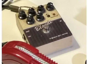 Tech 21 Blonde V2 (20646)