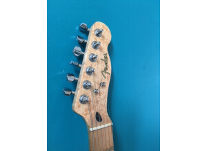Fender Special Edition Lite Ash Telecaster (52576)
