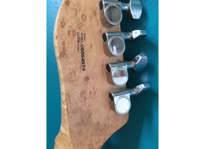 Fender Special Edition Lite Ash Telecaster (92353)