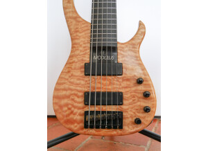 Modulus Guitars Quantum 6