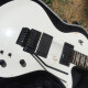 Ravelle Deluxe Tremolo Sustainer Ravelle Deluxe Tremolo Sustainer