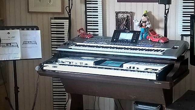 Wersi Pegasus Wing v2