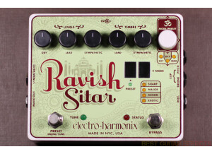 Electro-Harmonix Ravish Sitar (4053)