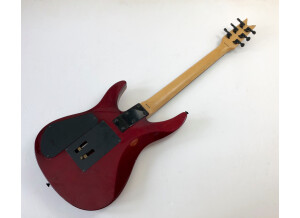 Dean Guitars DS 91 (94316)