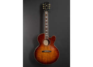 Gibson EAS Deluxe