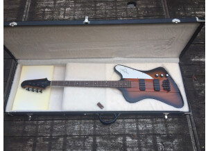 Gibson Thunderbird IV (25959)