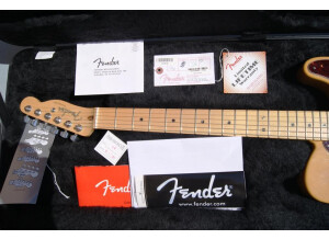 Fender American Deluxe Telecaster Ash [2010-2015] (83186)