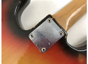 Fender Precision Bass (1969) (4017)